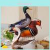 Realistische Plüschtier-Sammlung mit buntem Hahn, Henne und Ente