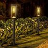 Solar Garden Lights Auto On/Off Outdoor Landscape Lighting for Lawn Pathway Patio Yard Courtyard Decoration