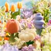 Donggubat Flower Garden Perfume Bar Set / Recommended Housewarming, Moving, and Newlywed Gifts