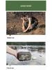 Portable Emergency Water Purifier for Outdoor Camping & Disaster Relief