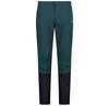 Брюки CMP Long Pant Alpine E958 Синий/бирюзовый