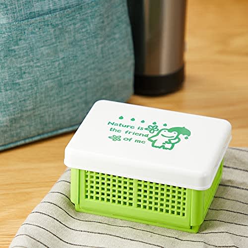 Fukui Craft Bento Box, Made in Japan, Sandwich Basket Lunch, Green, ZA-1193