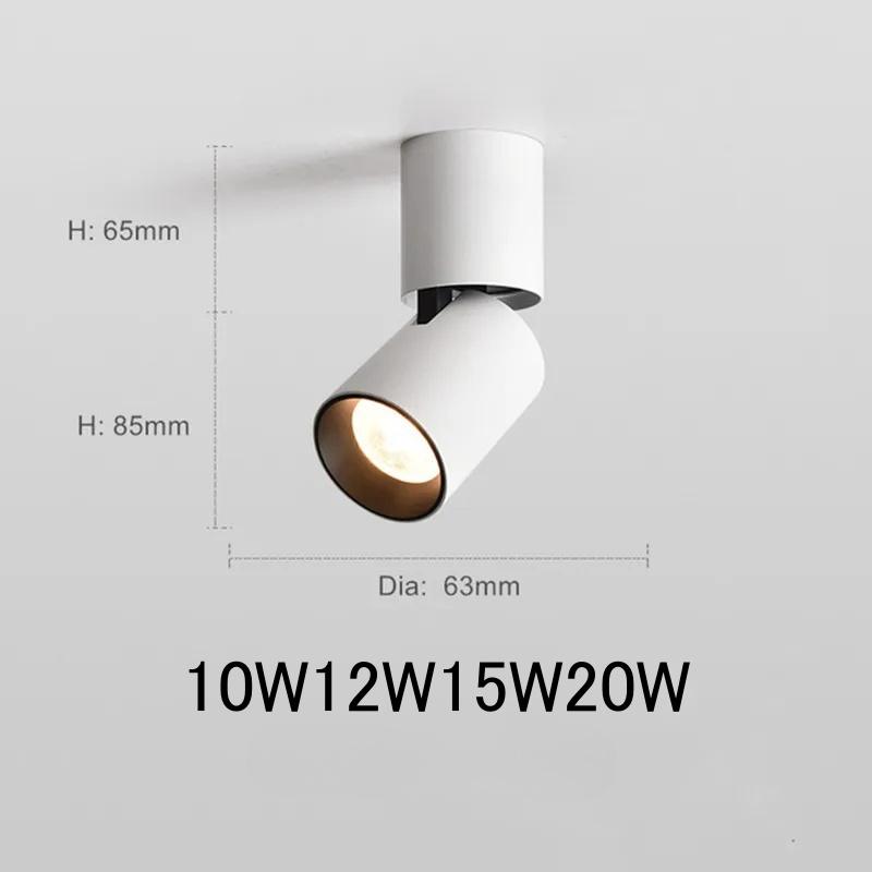 

Регулируемый накладной светильник, светодиодный потолочный светильник с регулируемой яркостью, 20 Вт, 15 Вт, 12 Вт, светодиодный точечный светильник для внутреннего фойе, гостиной, кухни 10W&Neutral Light белый