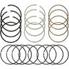 STD Engine Piston Ring Compatible with Buick Encore/with Chevy Cruze Sonic 1.4L L4 DOHC 16v 2011-2015, 25195065 55571045