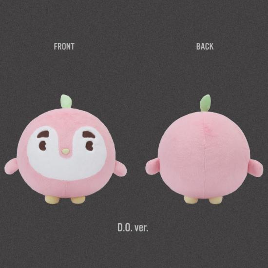 Pre-order EXO PLANET #6 EXhOrizon in Seoul Knuffelpop