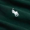 Polo Ralph Lauren FW23 Pony Logo Embroidered Hooded Fleece Long Sleeve Sweatshirt Men Sweatshirt Green 710838696-015
