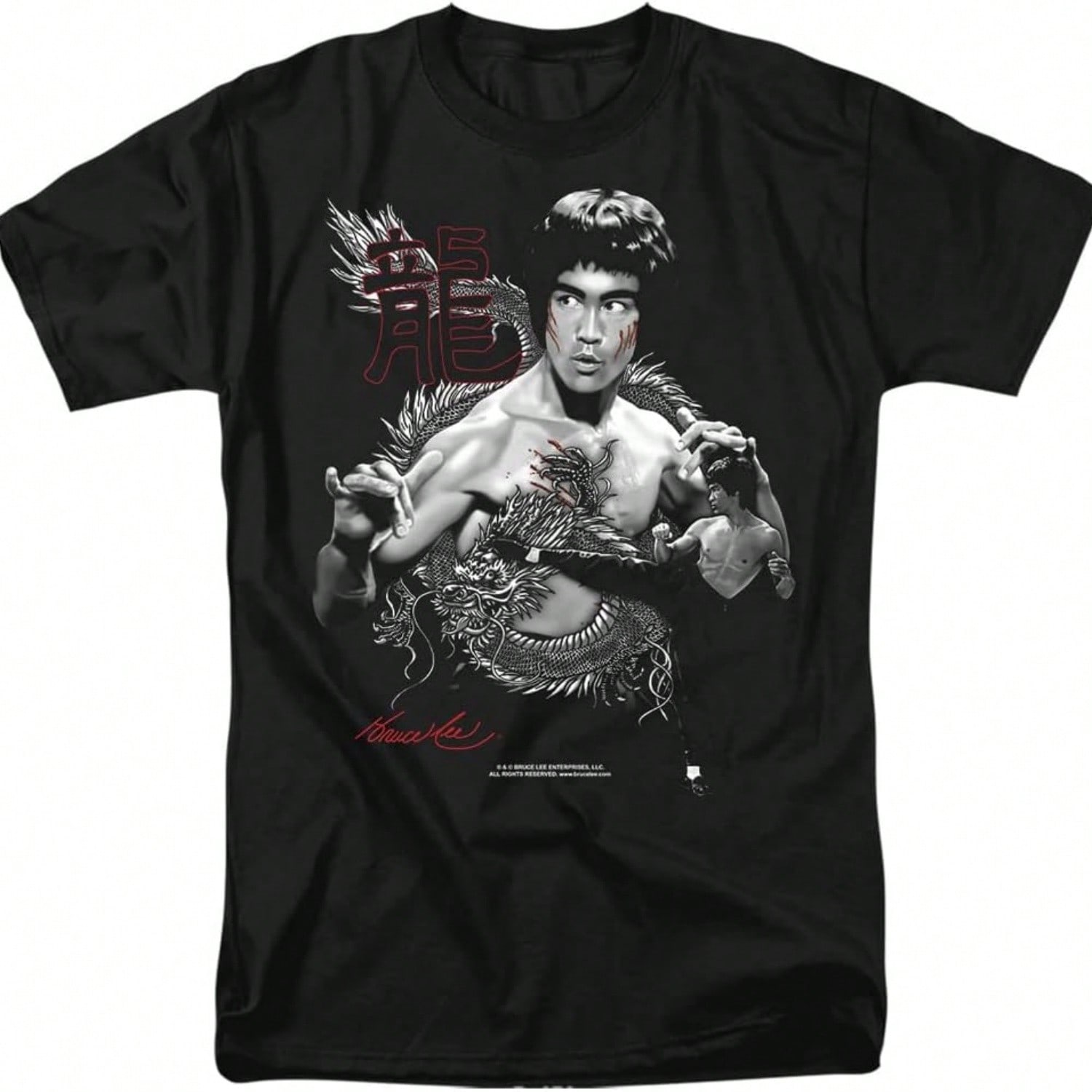 The Dragon Kung Fu T-Shirt & Stickers,Black S разноцветный