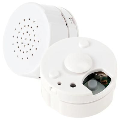 30 Sekunden Sprachrekorder Plüschtier Nachrichten aufnehmen Aufnehmbares Soundmodul Baby Puppe