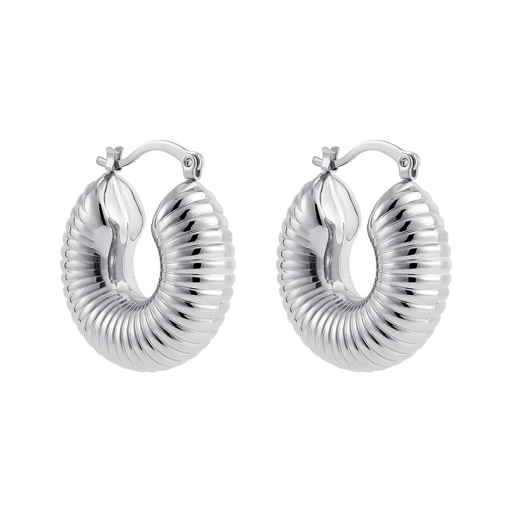 

Stainless Steel Round Chunky Hoop Earrings for Women Textured Thick Hoops Statement Ear Buckle Lightweight Fashion Zircon Gift