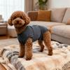 Pet Dogs Spaying Suit Recovery Vest