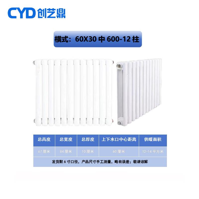 Chuang Yi Ding Steel 6030 Two-Column Hot Water Radiator