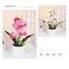 Plastic Bonsai Desktop Ornament Artificial Flower No-fading Butterfly Orchid Multicolor White Flowerpot Fake Butterfly Flower