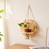 Wooden Wall Hanging Planter Holder Home Ornaments Hydroponic Planter Shelf  Hydroponics