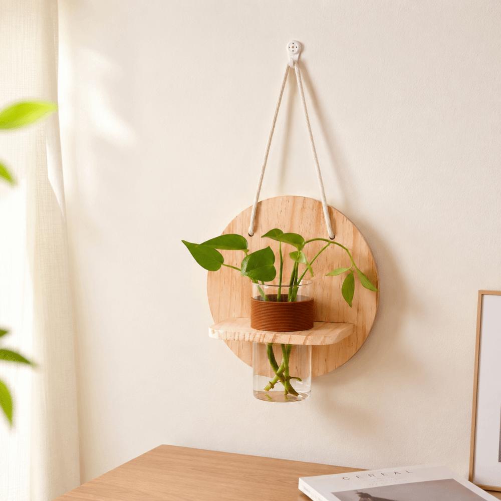 Wooden Wall Hanging Planter Holder Home Ornaments Hydroponic Planter Shelf Hydroponics