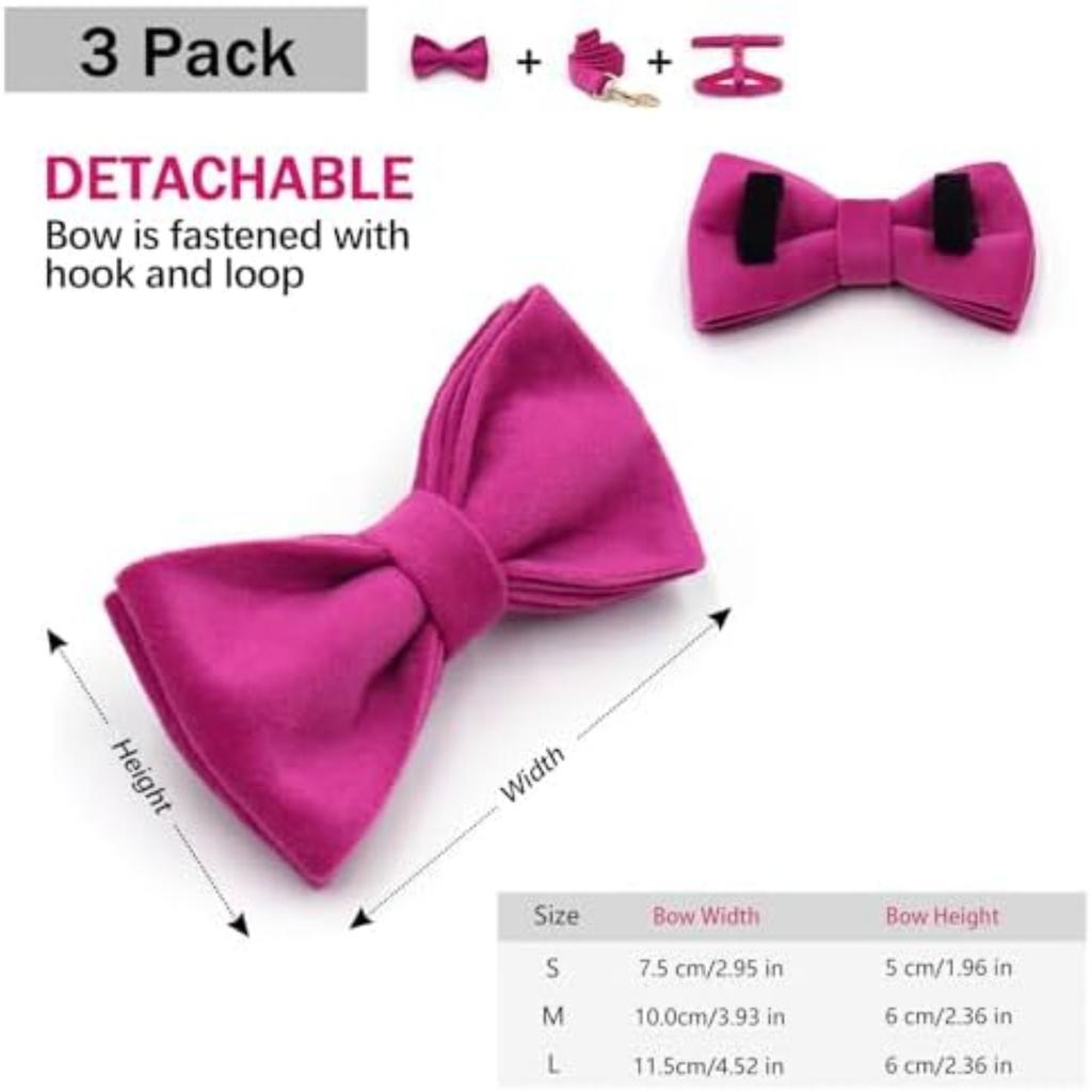 Pet Collar with Zinc Alloy Buckle M Size Harness (Width 2.5cm Neck 38-57cm Chest 45-72cm) 120CM Leash 11*6CM Bow Set