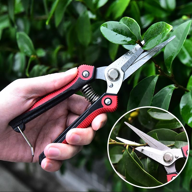 Professional Pruning Shear Branch Scissors Stainless Steel Non-Slip Handle Sharp Fruit Vegetable Pruning Scissors Garden Tools