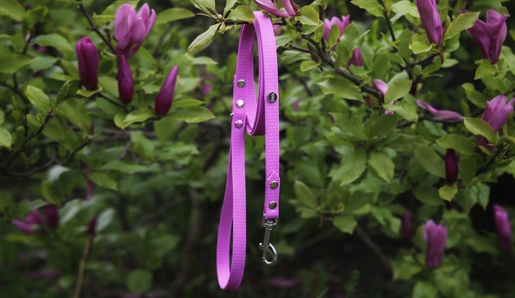 Hexa City Dog Leash, Width , S, /Lavender