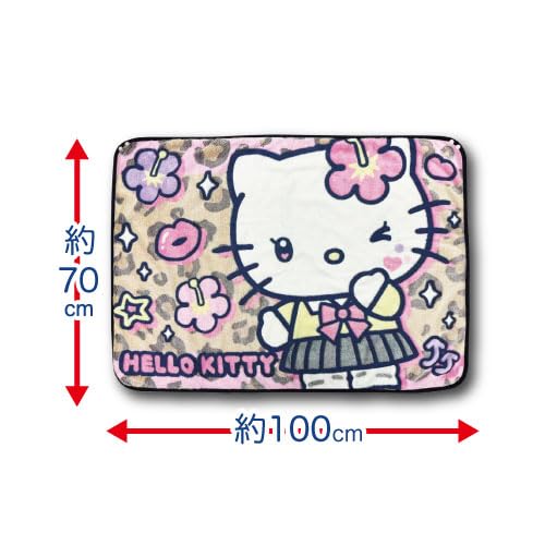 Hatayama Shoji Sanrio 3D Přehoz, 70x100cm, Hello Kitty Hnědá, Cca. V70xŠ100cm, 66203224