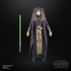 Star Wars Black Series Luminara Unduli Attack of the Clones 6-inch Premium Collectible Action Figure