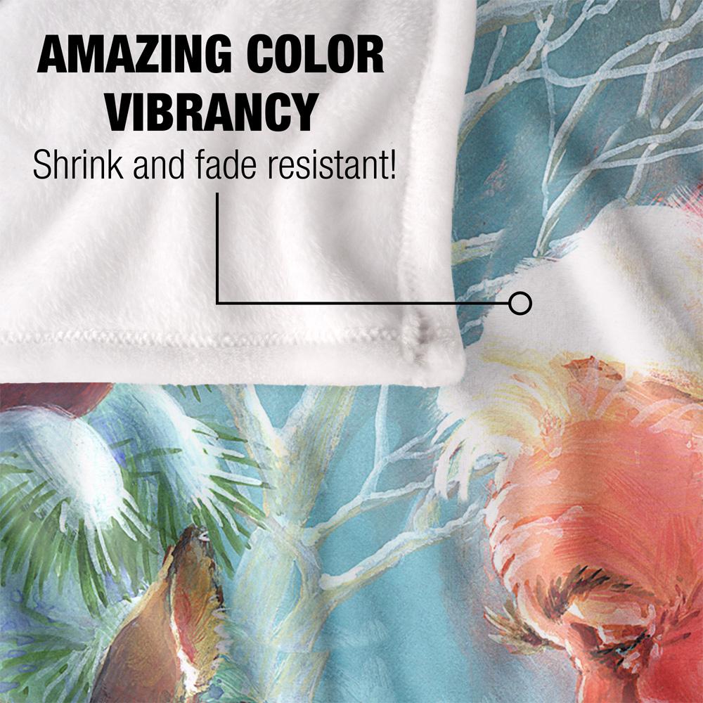 JQ Licensing Silky Fawn Santa Claus Christmas Supersoft Blanket