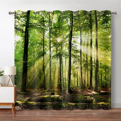 3D Forest Landscape Curtains Sunbeam Through Trees Printed Drapes Nature Scenery Living Room Bedroom Decor 2 Panels Set