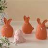 DIY Crafts Easter Bunny Silicone Mold Cute Rabbit Candle Mold 3D Rabbit Mold  Home Room Decorations