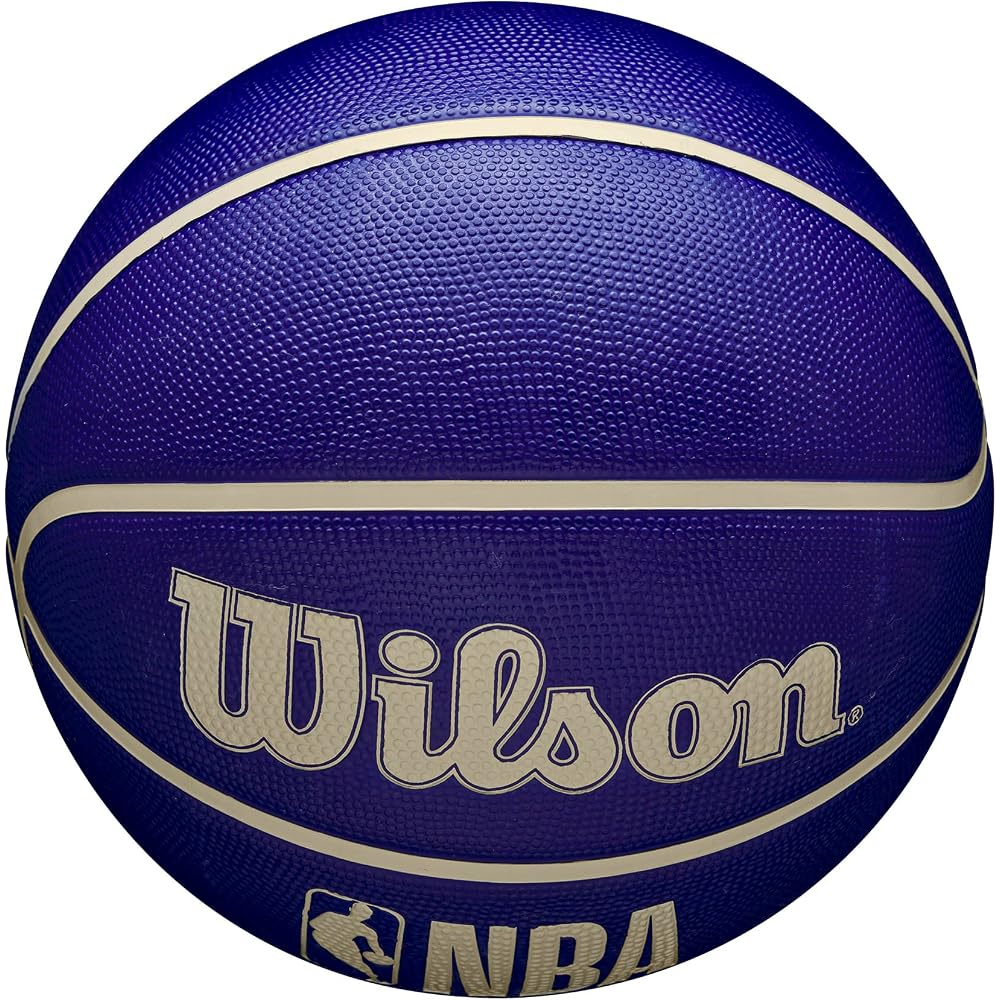 Wilson NBA DRV Drive Indigo Outdoor Basketball Size 5 WZ3016201XB5