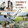 carabiner for dog locking snap leash stainless for medium and small for set of 3 [Epic Green] Double-locking leashes, hook, harness, collar,