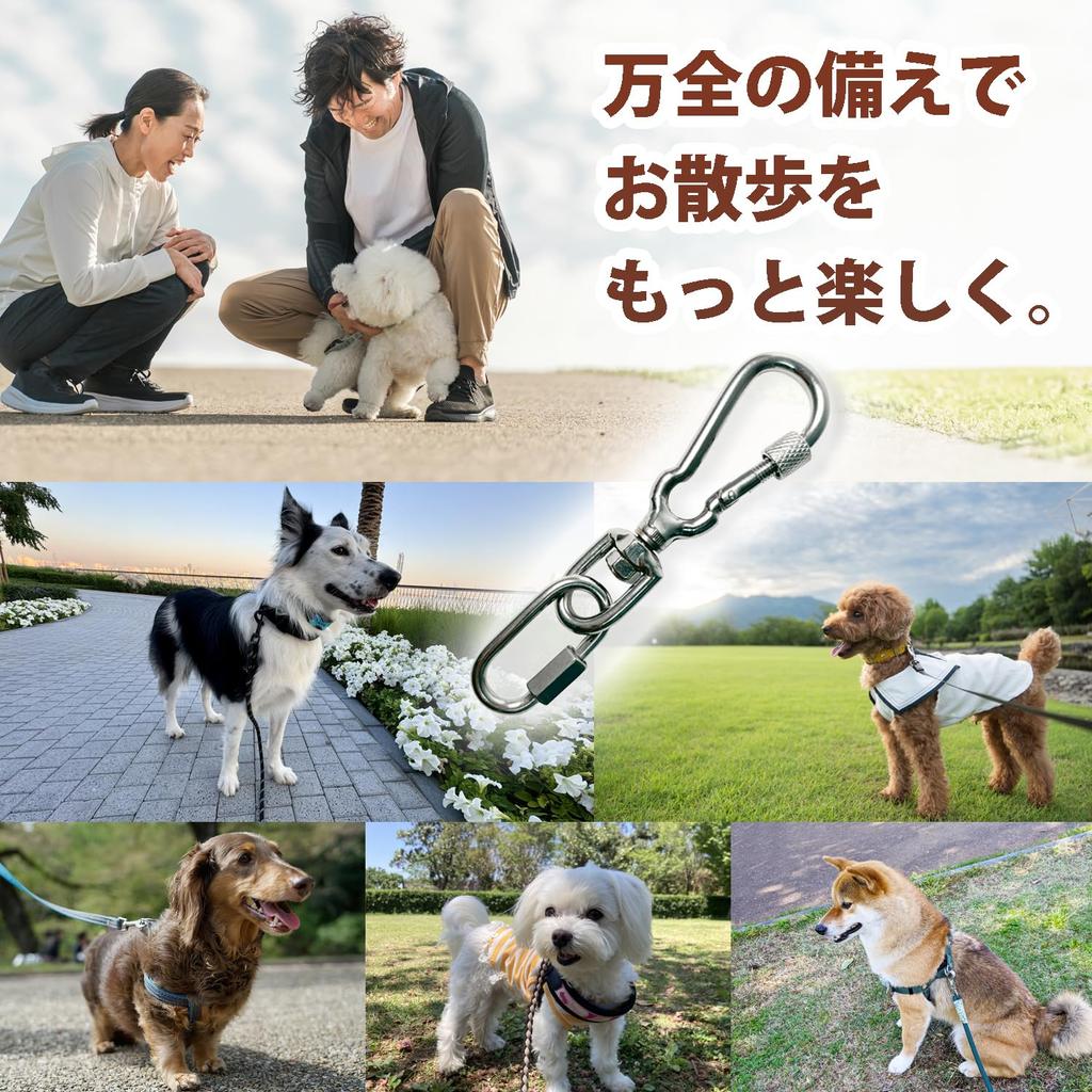 carabiner for dog locking snap leash stainless for medium and small for set of 3 [Epic Green] Double-locking leashes, hook, harness, collar,