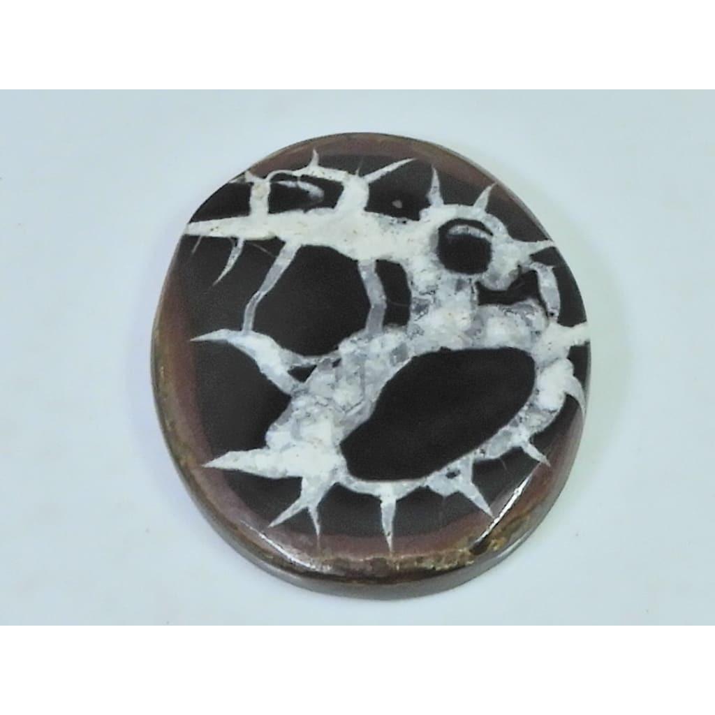 60Cts.Natural Septarian Gronates Oval Cabochon Loose Gemstone 30X38X04 MM D-549
