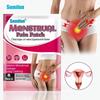8/16/40/80 Stück Sumifun Nacken-Wärmepflaster Spontanes Fieber Frauen Menstruationspflegepflaster Menstruationsschmerzen-Pflaster