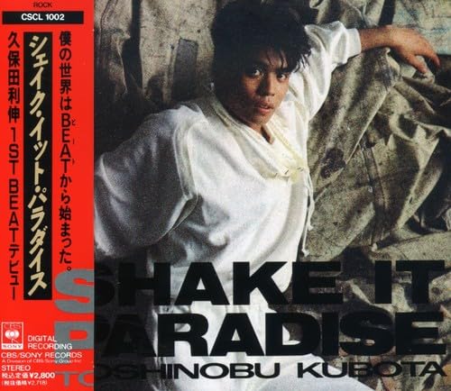 

SHAKE IT PARADISE