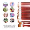 Paintbrushes, 24 Piece Multifunctional Brush Set Painting Supplies with Cloth Bag and Scraper for Better Art Creation
