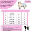 Portable Leak Proof Pet Dog Diaper Breathable Adjustable Dog Physiological Pant Reusable Cartoon Dog Polite Belt Dog
