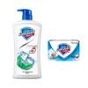 Safeguard Mint Refreshing Body Wash & Sea Salt Soap Bundle