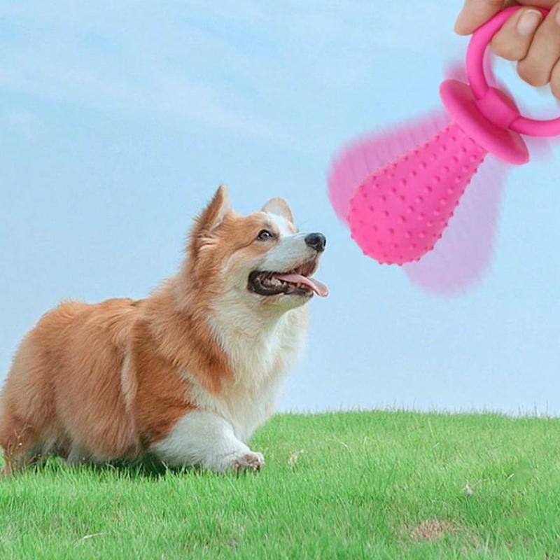 Pet Toy: , Bite-Resistant, Realistic Dog Toy That Makes Sounds; Teething and Dental Hygiene Training Product for Small and Medium-Sized Dogs.