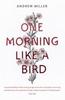 One Morning Like a Bird by Andrew Miller Paperback Book 9780340825150
