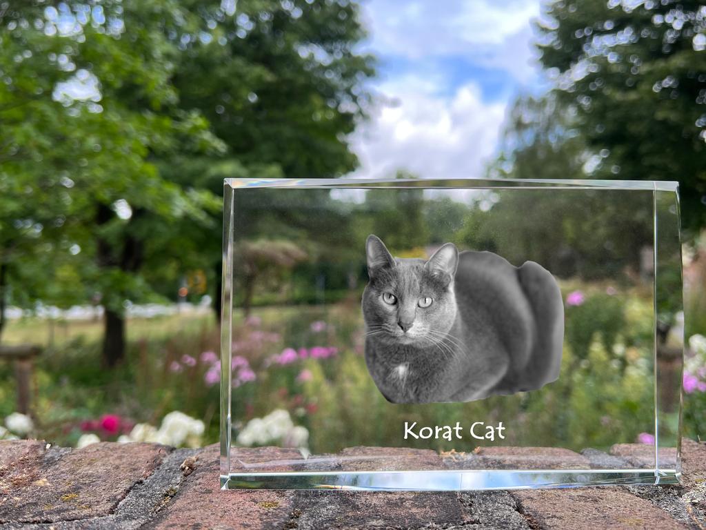 Korat - kryształ ze zdjęciem kota, zdjęcie w szkle, nowoczesna wystawa zdjęć marki Art-Dog