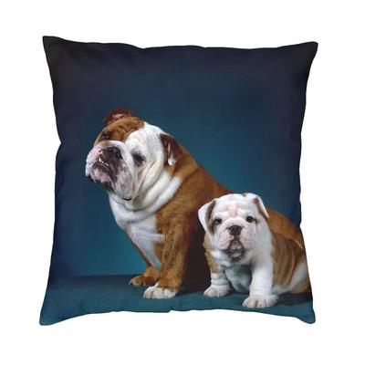 Kissenbezüge im nordischen Stil für Englische Bulldogge 45x45cm Weiches Kissen für Auto Quadratische Kissenhülle Wohnzimmerdekoration