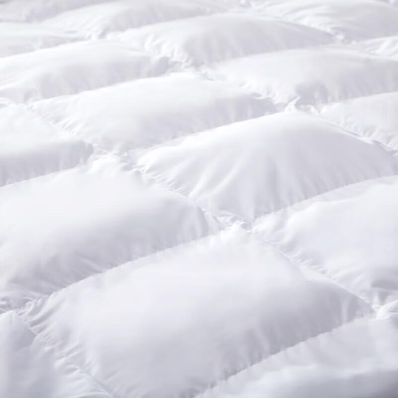 FUANNA All-Season Down Alternative Fiber Quilt