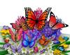 Creative Color Printing 3D Butterfly Greeting Card Fragrance Butterfly Cards 3d Popup Greeting Card Luxury Holiday Greeting Card