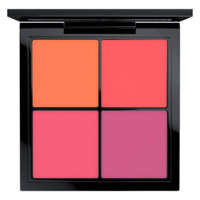 Pro Palette Viso Blush