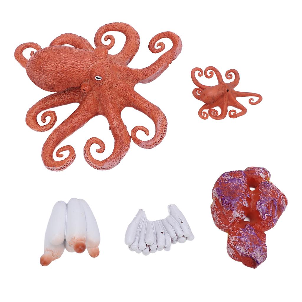 5Pcs Octopus Figurine Toy Educational Simulated Octopus Life Cycle Learning Toy Sea Animals Figurine