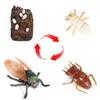 Oenux Simulation Luna Moth Salmon Butterfly Ants Life Growth Cycle Animals Model Action Figures Educational Miniature Kids Toy