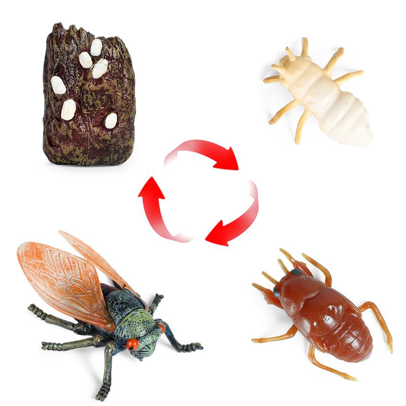 Oenux Simulation Luna Moth Salmon Butterfly Ants Life Growth Cycle Animals Model Action Figures Educational Miniature Kids Toy