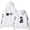 Attack On Titan Levi Ackerman Hoodie Unisex Fleece Sweatshirt Front Manga Eyes Print, Back Levi Portrait, Japanese Sleeve Text Autumn Winter Pullover