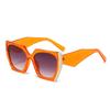 Women Cat Eye Oversized Color Block Uv Protection Sunglasses