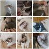 Pet Ear Swabs 56Pcs/box Cat Dog Ear Cleaner Cotton Swabs For Dogs Cats And Small Pets Disposable Cotton Swabs For Cleaning Dogs