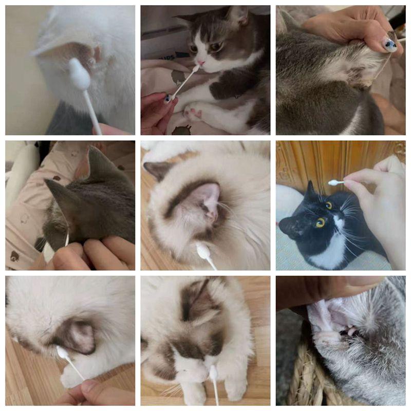 Pet Ear Swabs 56Pcs/box Cat Dog Ear Cleaner Cotton Swabs For Dogs Cats And Small Pets Disposable Cotton Swabs For Cleaning Dogs