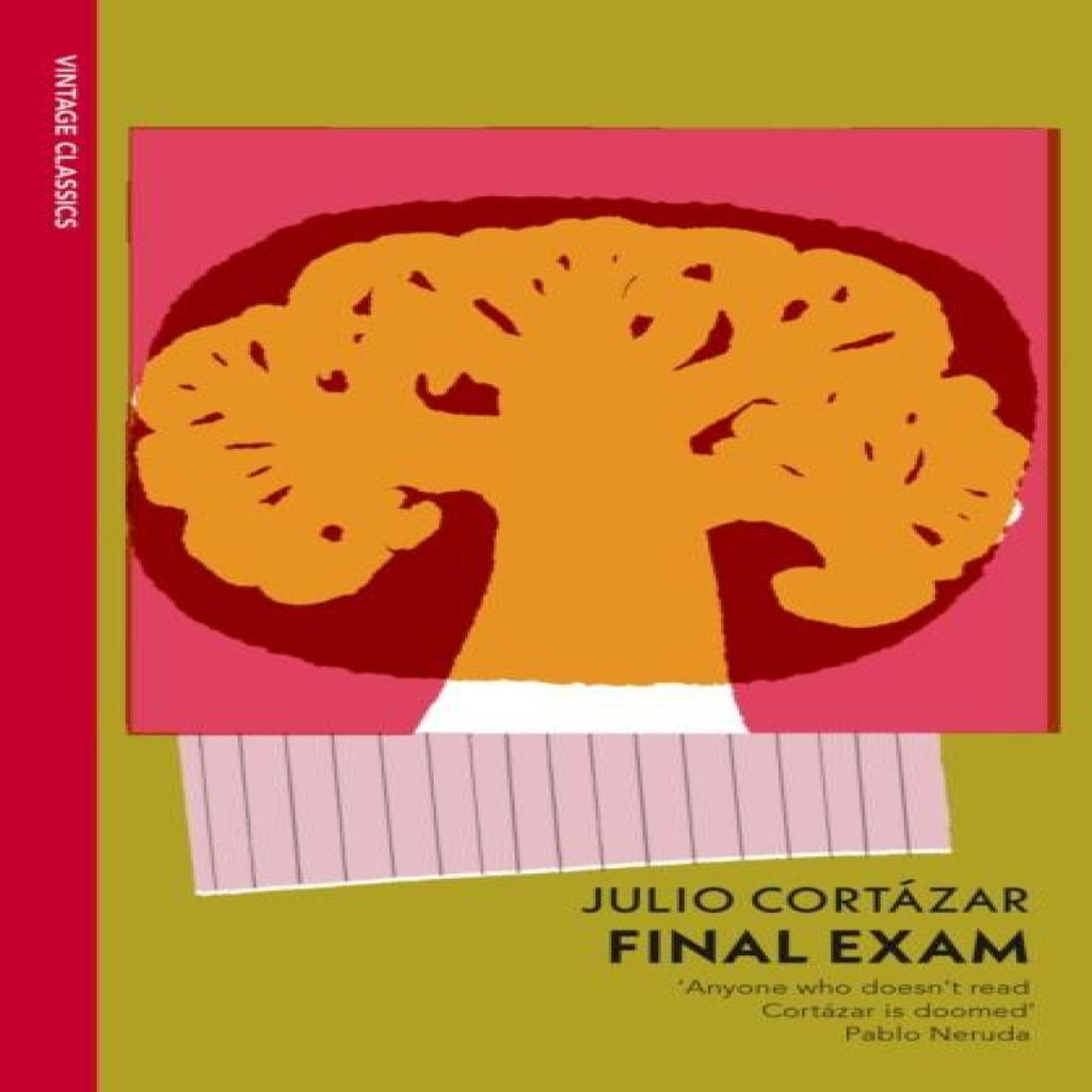 Final Exam by Julio Cortazar Paperback Book 9781529956757